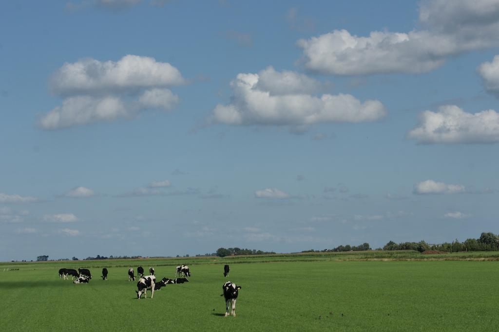 De Gouw *