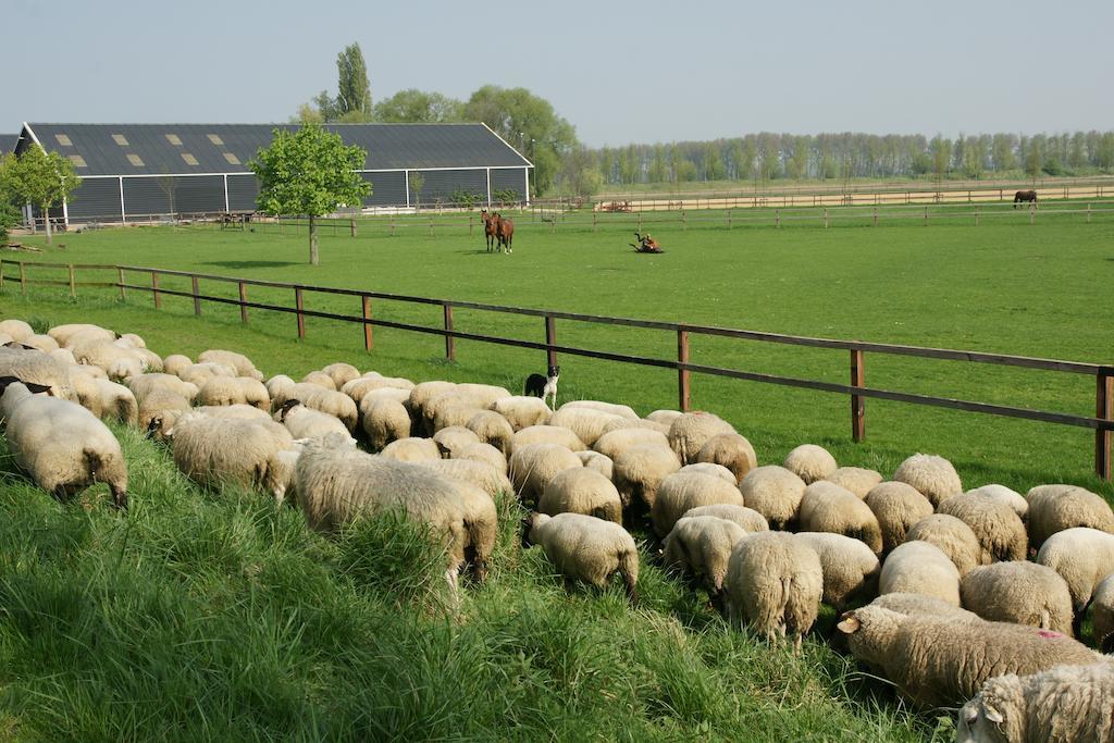 De Gouw Appartement